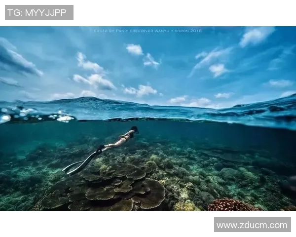 极限运动战术创新探索上海极限运动队的战术转换与实践分析 极限运动战术创新探索上海极限运动队的战术转换与实践分析