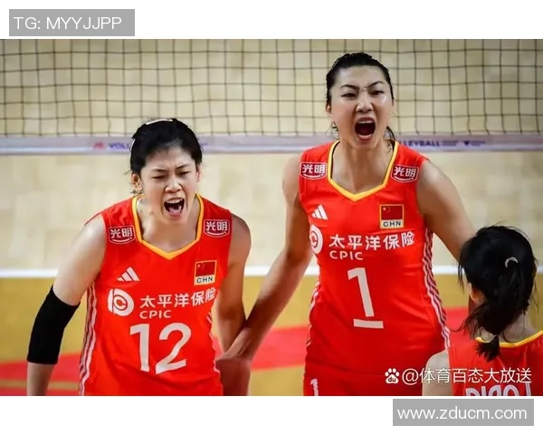 武汉排球队实力解析：聚焦排球运动的崛起与发展之路